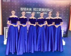  会议礼仪、晚宴礼仪、模特主持人舞蹈乐队、充